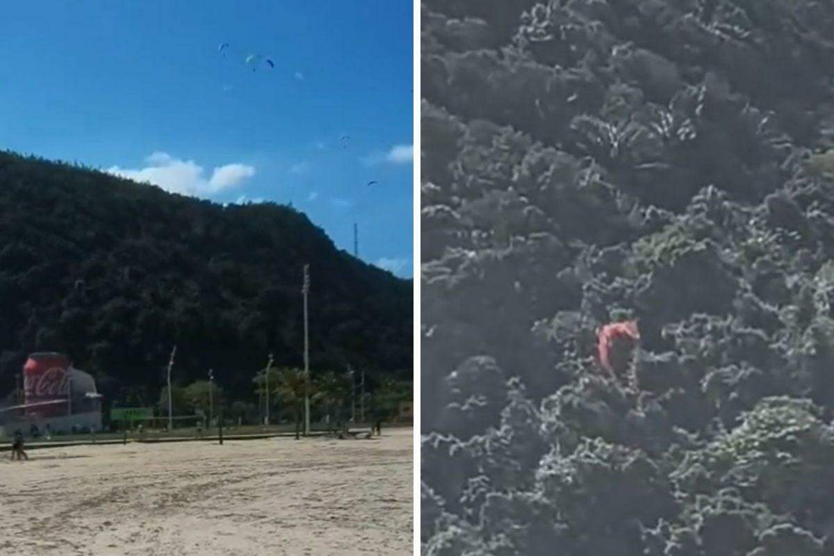 Piloto foi socorrido e passa bem