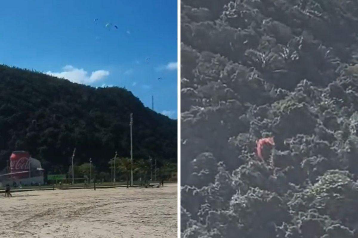 Piloto foi socorrido e passa bem