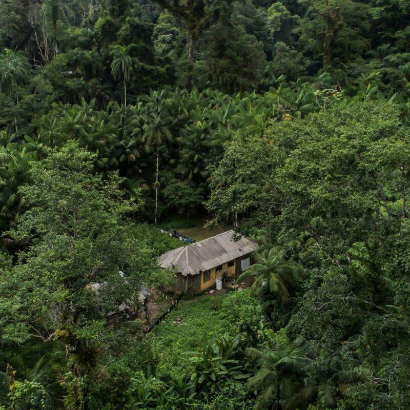 Área indígena alvo da ação fica na divisa entre Bertioga e São Sebastião, no litoral de São Paulo