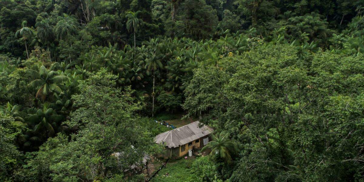 Área indígena alvo da ação fica na divisa entre Bertioga e São Sebastião, no litoral de São Paulo