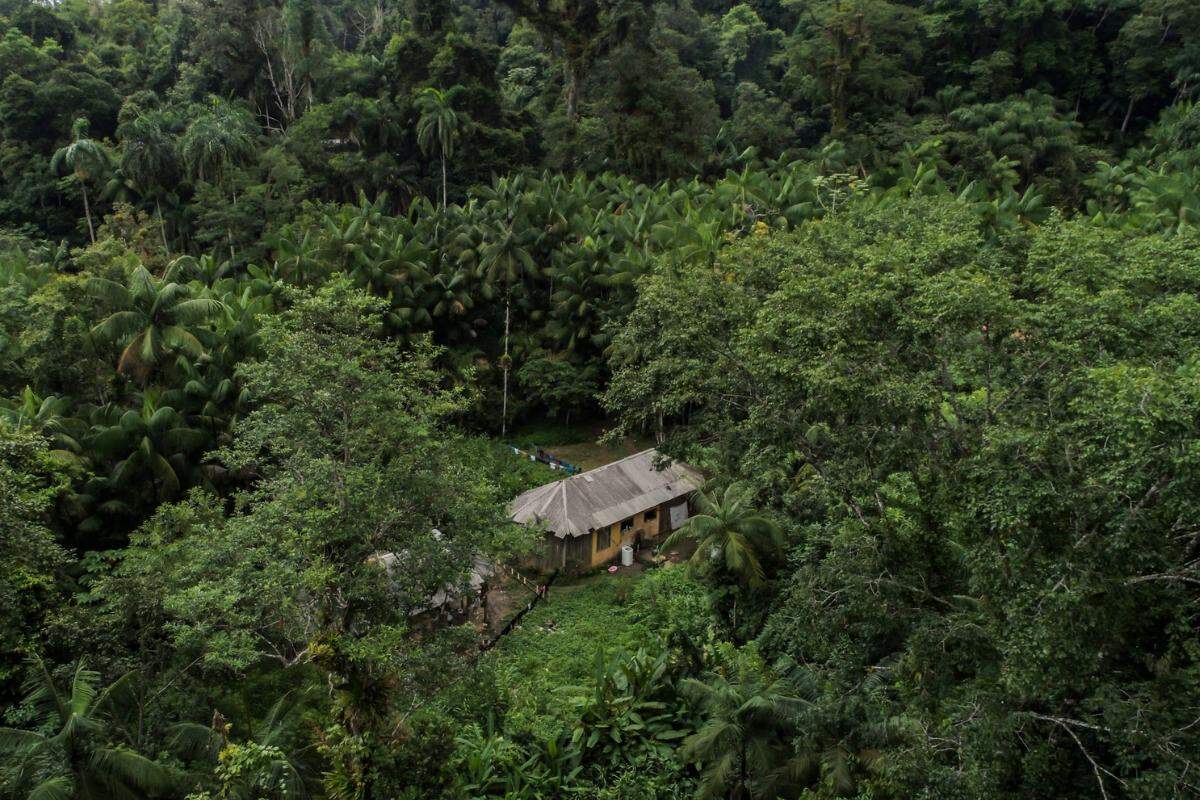 Área indígena alvo da ação fica na divisa entre Bertioga e São Sebastião, no litoral de São Paulo