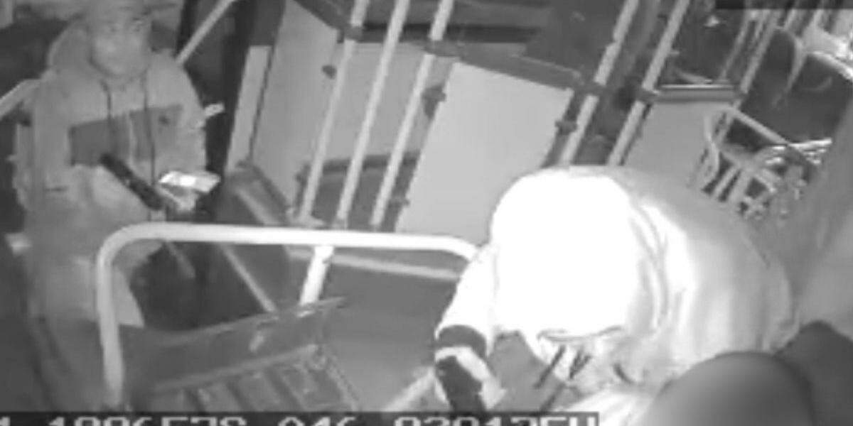 Criminosos foram flagrados assaltando um motorista de ônibus e apontando a arma para ela