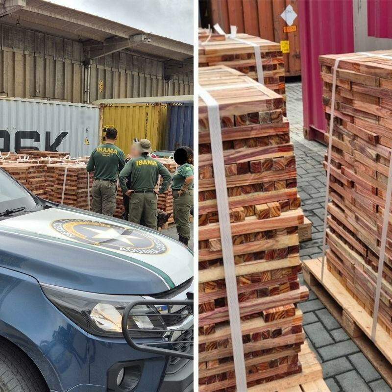 A descoberta ocorreu a partir do trabalho de inteligência da Receita Federa