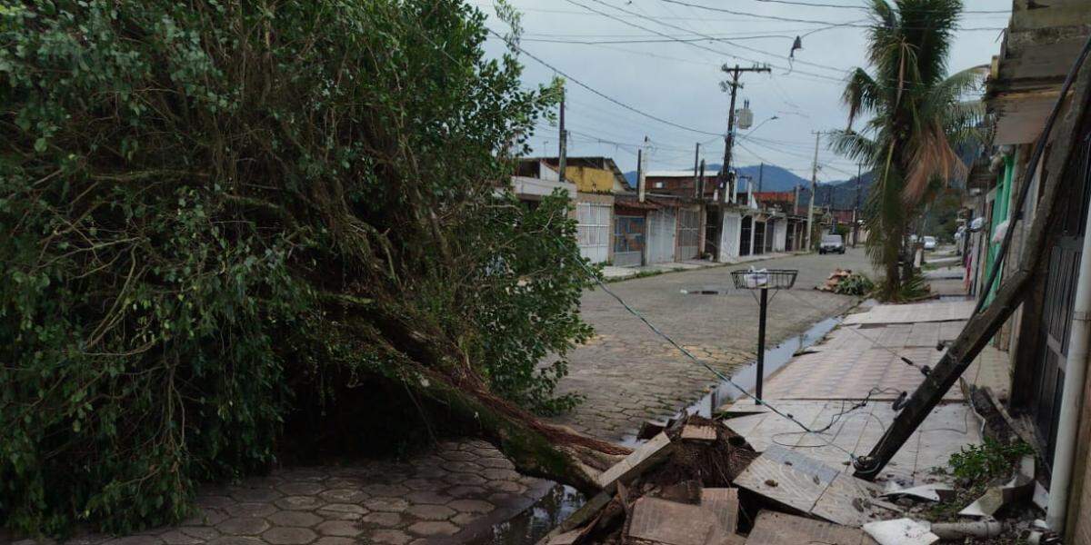 Ventos fortes provocaram queda de árvores em Mongaguá (foto) e mais cidades da Baixada Santista nesta terça (1º)