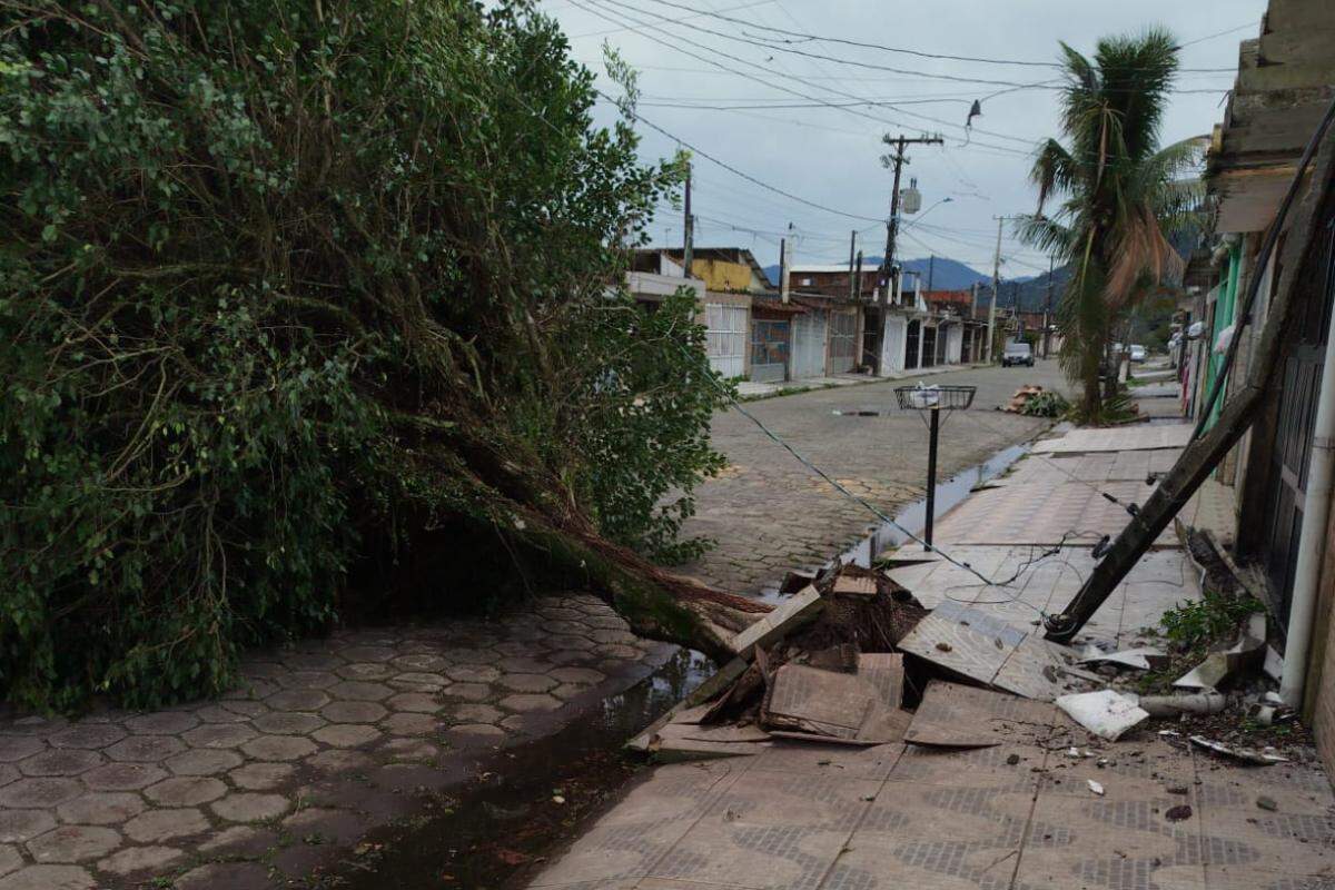 Ventos fortes provocaram queda de árvores em Mongaguá (foto) e mais cidades da Baixada Santista nesta terça (1º)