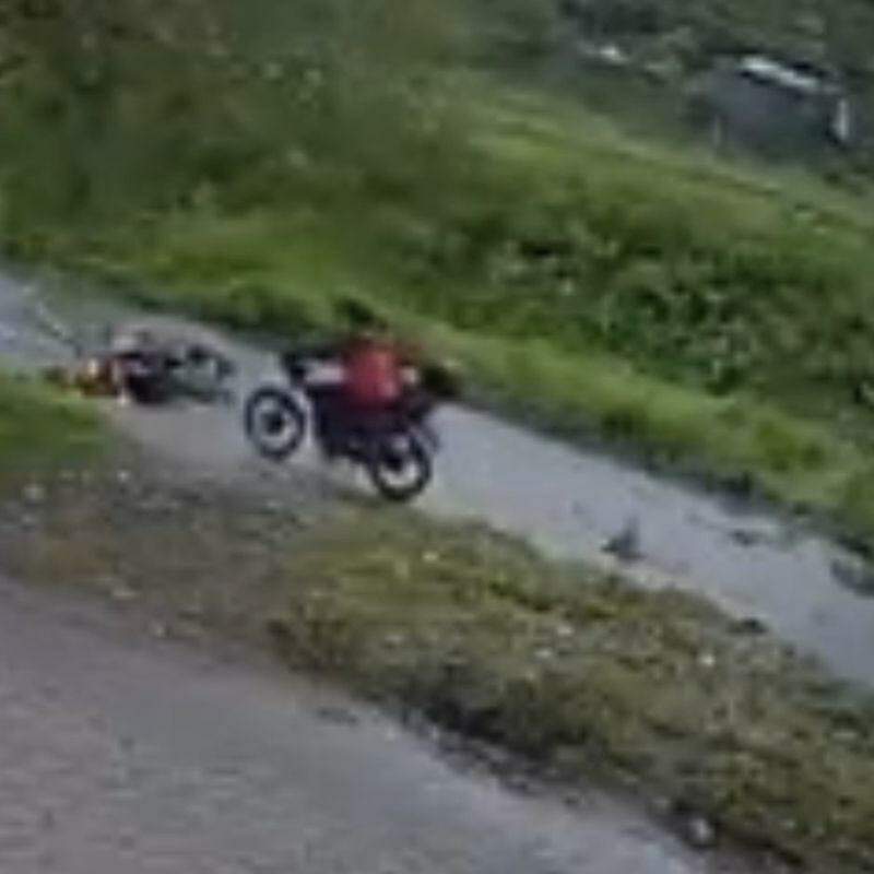 Motociclista foi atingida por árvore que caiu na Avenida Angelina Pretti, na Área Continental de São Vicente