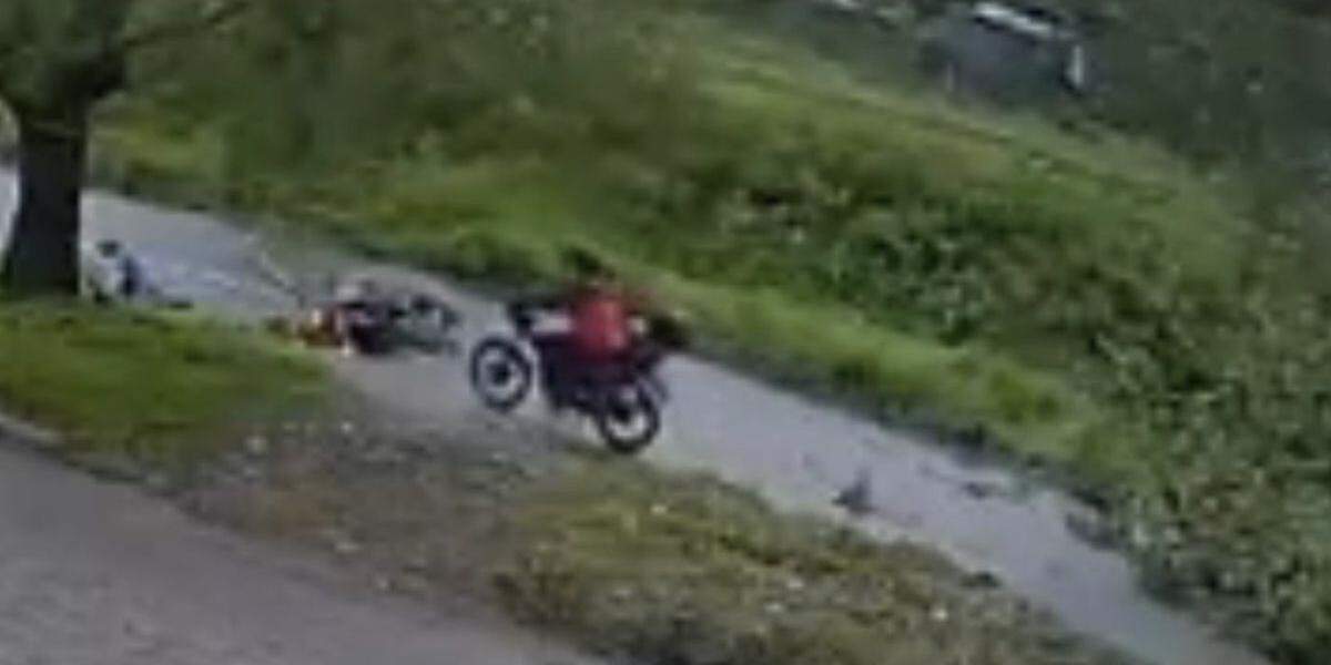 Motociclista foi atingida por árvore que caiu na Avenida Angelina Pretti, na Área Continental de São Vicente