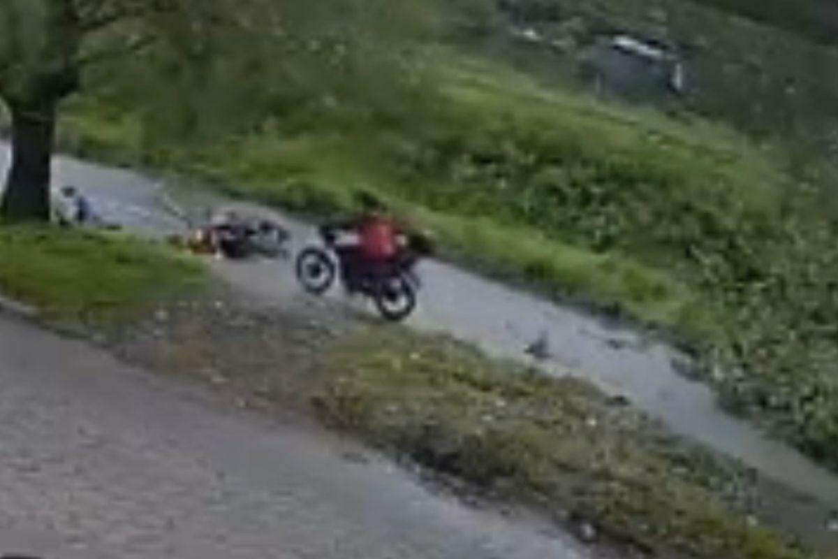 Motociclista foi atingida por árvore que caiu na Avenida Angelina Pretti, na Área Continental de São Vicente