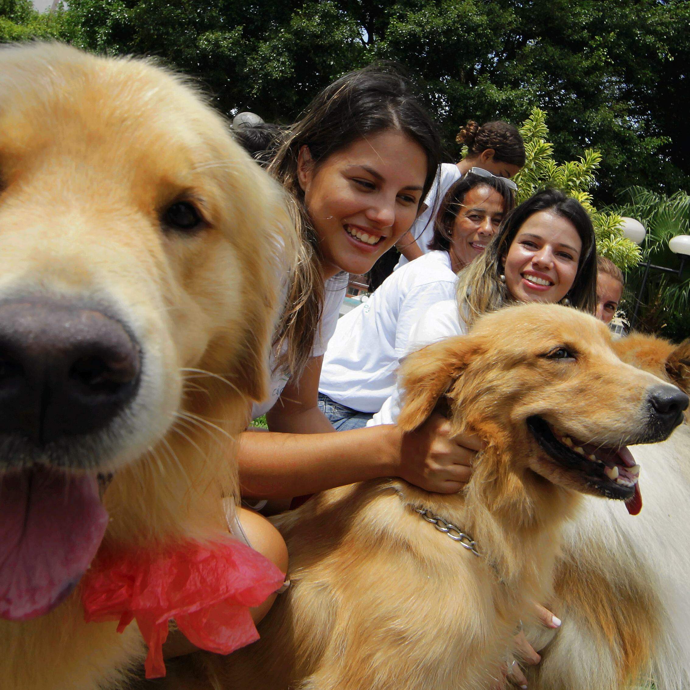 Município já acompanha cães terapêuticos em unidades de saúde