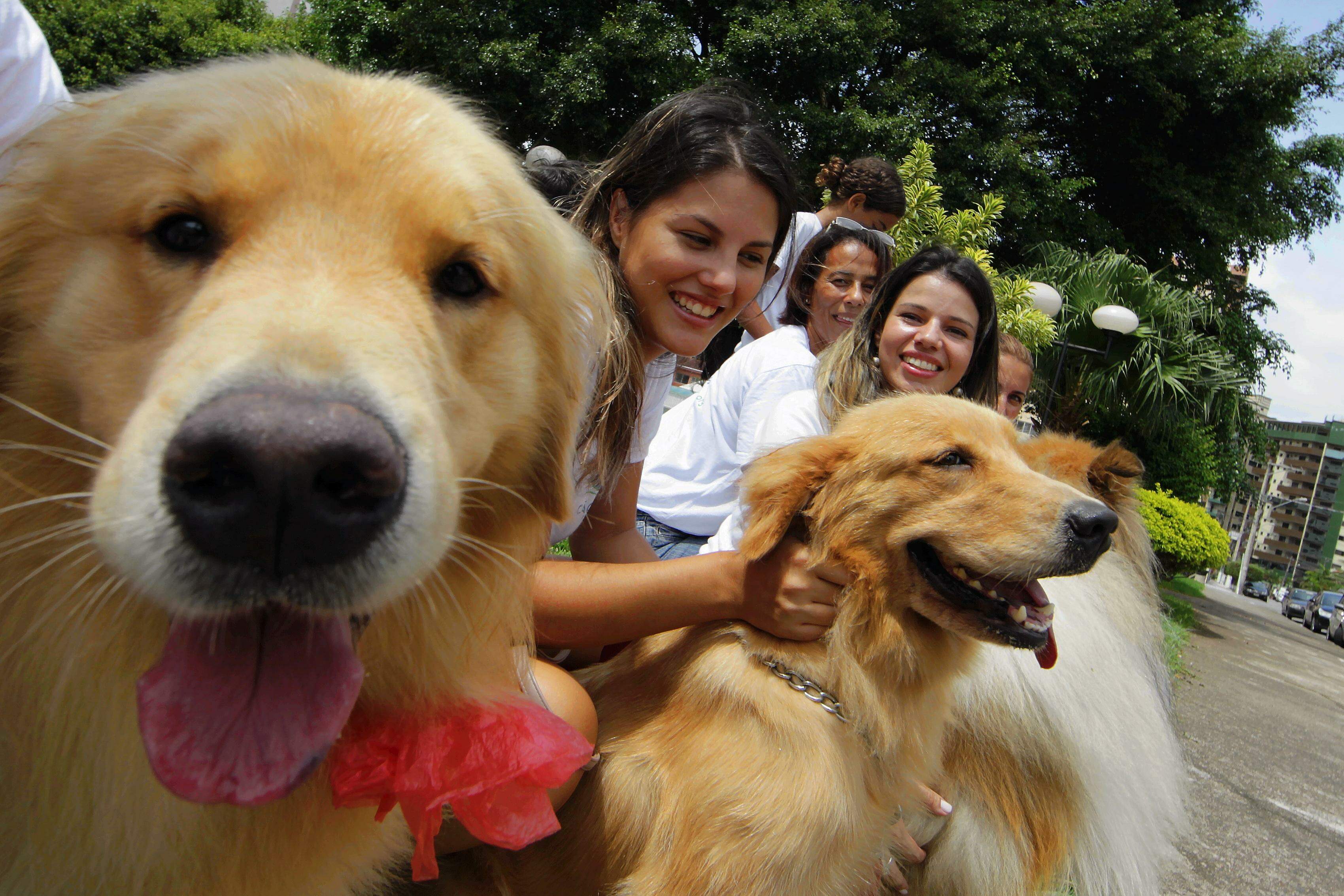 Município já acompanha cães terapêuticos em unidades de saúde