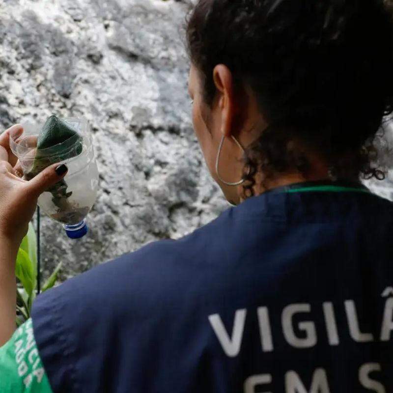 Também foram contabilizados 42 óbitos, número que pode crescer, pois há 30 mortes sob investigação