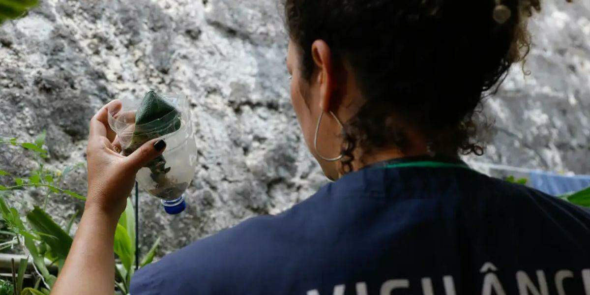 Também foram contabilizados 42 óbitos, número que pode crescer, pois há 30 mortes sob investigação