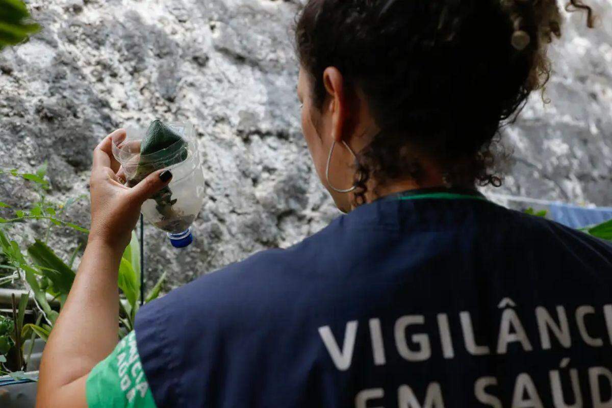 Também foram contabilizados 42 óbitos, número que pode crescer, pois há 30 mortes sob investigação