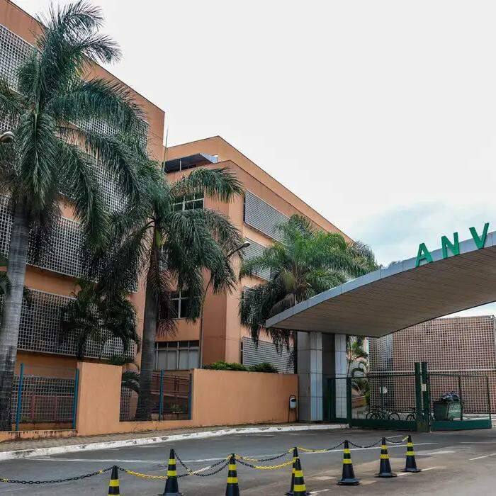 De acordo com a Anvisa, o câncer de mama triplo-negativo representa um subtipo agressivo da doença
