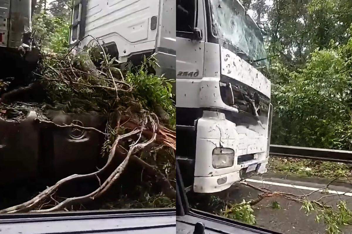 Apesar do impacto sobre a cabine do veículo, o motorista saiu ileso do acidente