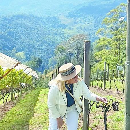 Guia mostra as muitas áreas de produção