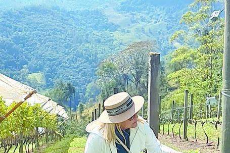 Guia mostra as muitas áreas de produção