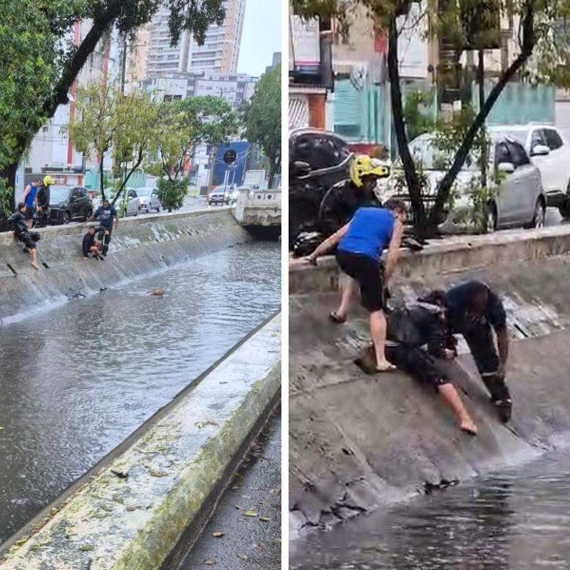 Cachorro foi resgatado após cair no Canal 2, em Santos