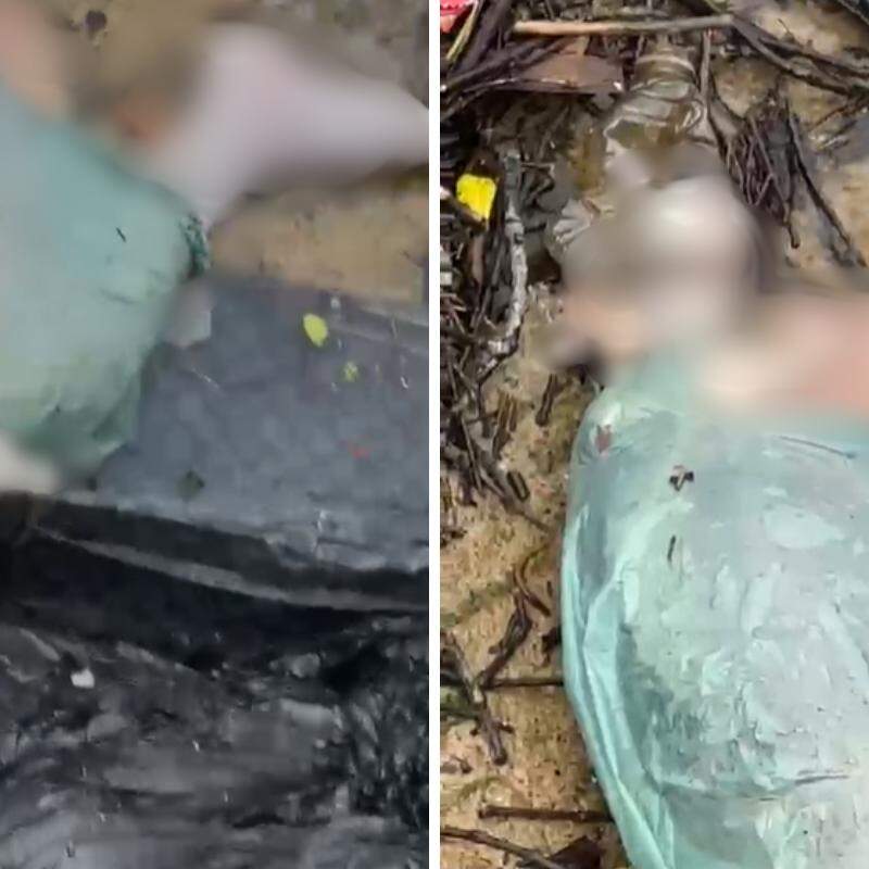 Mala com partes de um corpo foi encontrada nas proximidades do píer de uma marina, no bairro Japuí, em São Vicente, na tarde de sábado (12)