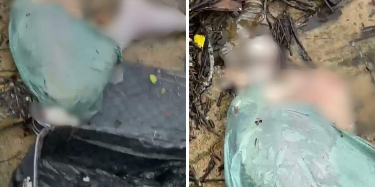 Mala com partes de um corpo foi encontrada nas proximidades do píer de uma marina, no bairro Japuí, em São Vicente, na tarde de sábado (12)