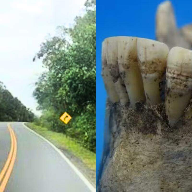 Na foto, o local aproximado na rodovia e, à direita, uma das arcadas encontradas no sítio arqueológico