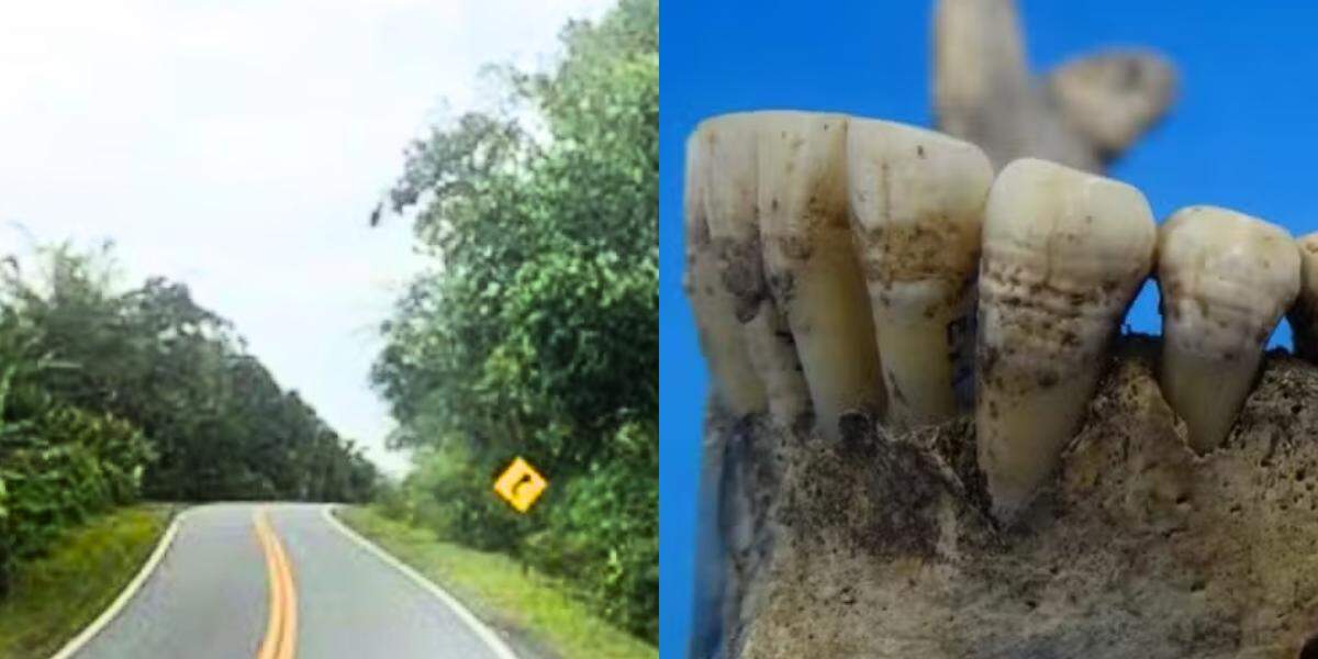 Na foto, o local aproximado na rodovia e, à direita, uma das arcadas encontradas no sítio arqueológico