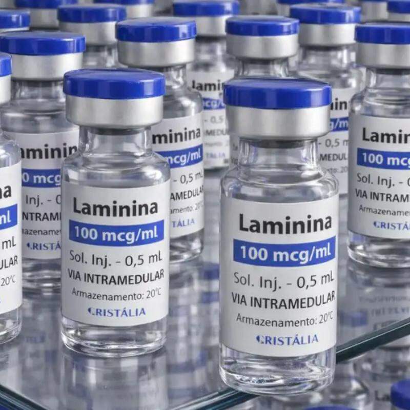 Testes clínicos fase 1 da polilaminina começam este mês