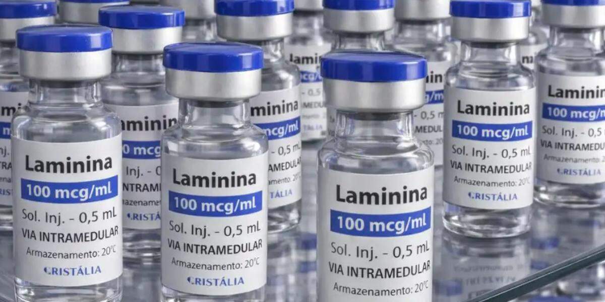 Testes clínicos fase 1 da polilaminina começam este mês