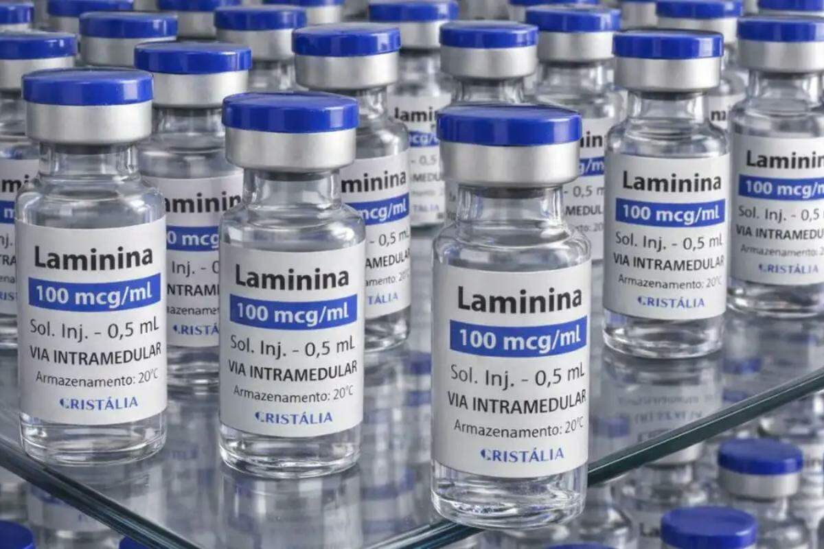 Testes clínicos fase 1 da polilaminina começam este mês