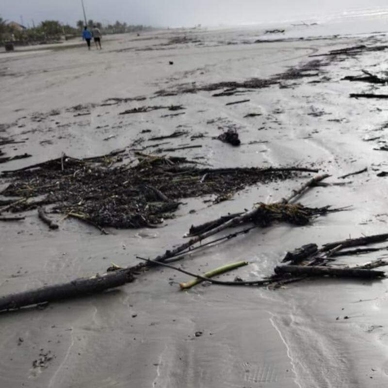 Vários resíduos chegaram à praia de Peruíbe, além de um búfalo morto