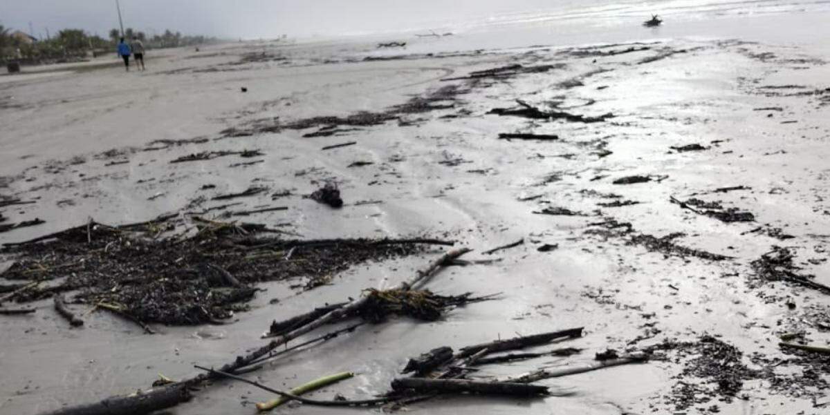 Vários resíduos chegaram à praia de Peruíbe, além de um búfalo morto