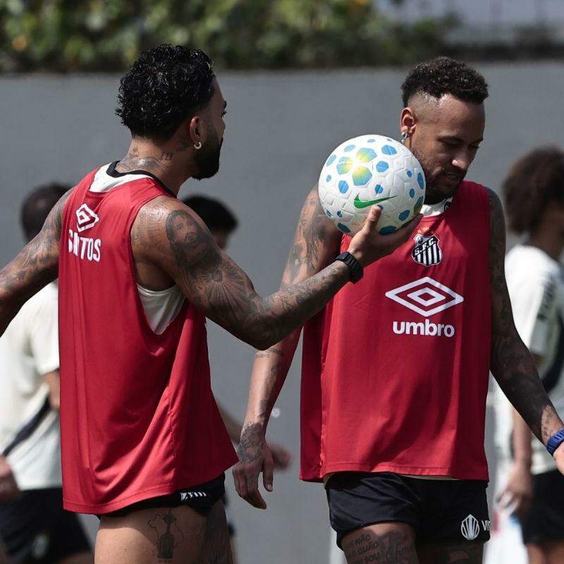 Craques são dúvidas para a próxima temporada