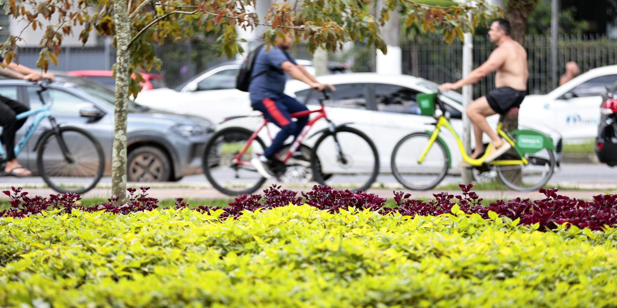 Conhecida como estação das flores, a primavera terá início às 21h05 e deve registrar chuvas concentradas
