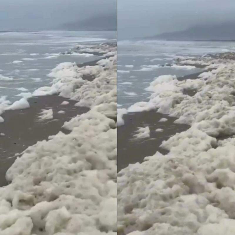 A cena foi registrada por fotógrafa em praia de Ilha Comprida, no litoral de São Paulo