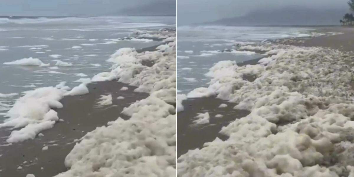 A cena foi registrada por fotógrafa em praia de Ilha Comprida, no litoral de São Paulo