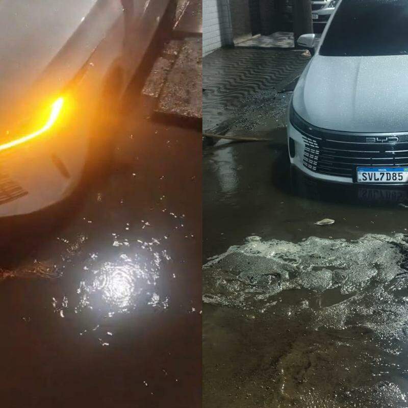 A situação ocorreu por volta das 3h30 e a retirada às 07h