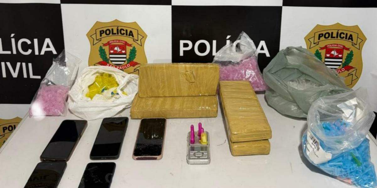 Foram apreendidos cerca de 3,1 quilos de maconha, 14 porções de cocaína e 850 microtubos plásticos vazios utilizados no acondicionamento de drogas