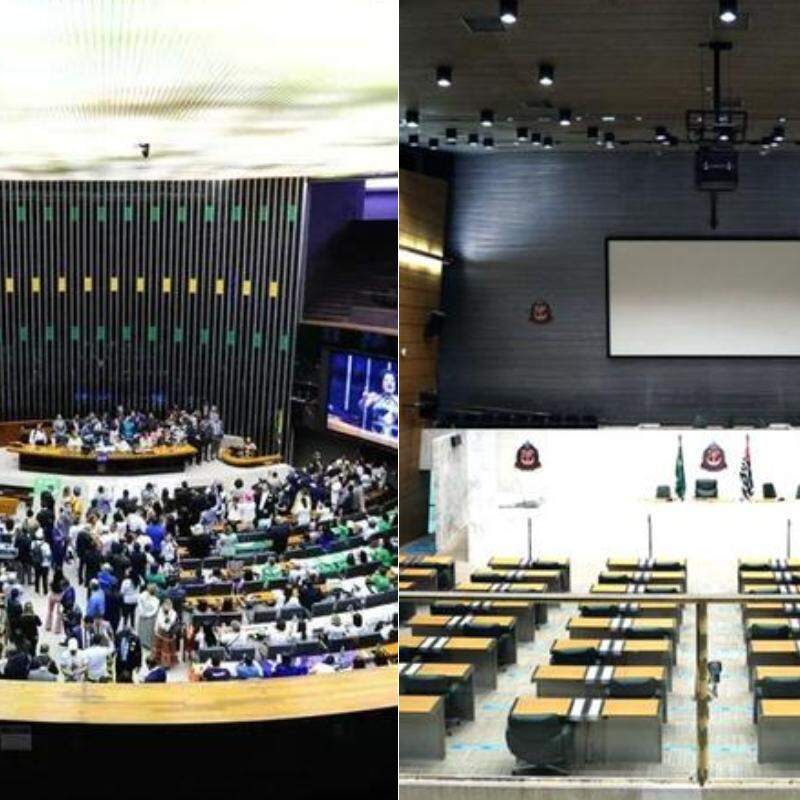 Câmara dos Deputados (à esq.) e Assembleia Legislativa de São Paulo (à dir.)