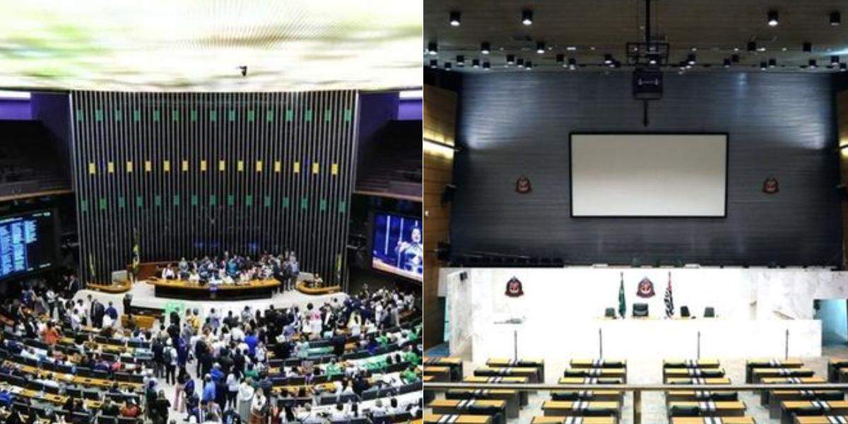 Câmara dos Deputados (à esq.) e Assembleia Legislativa de São Paulo (à dir.)