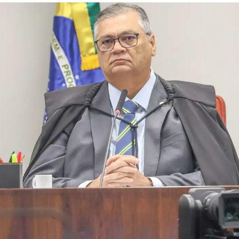 Segundo Mendonça, a mensagem ultrapassava o campo da opinião política e veiculava fato "objetivamente falso, informação fabricada ou grave descontextualização"