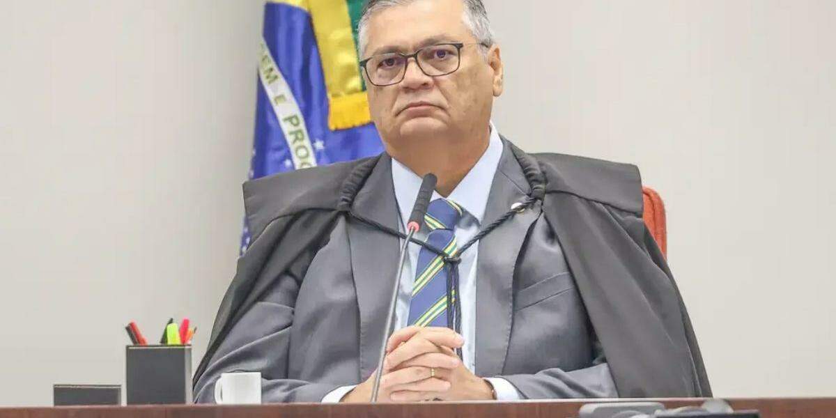 Segundo Mendonça, a mensagem ultrapassava o campo da opinião política e veiculava fato "objetivamente falso, informação fabricada ou grave descontextualização"