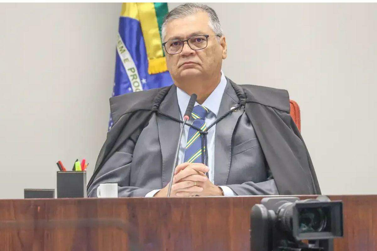 Segundo Mendonça, a mensagem ultrapassava o campo da opinião política e veiculava fato "objetivamente falso, informação fabricada ou grave descontextualização"