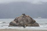 A estátua da feiticeira, que ficava sobre a pedra, ficou totalmente destruída pelo fogo
