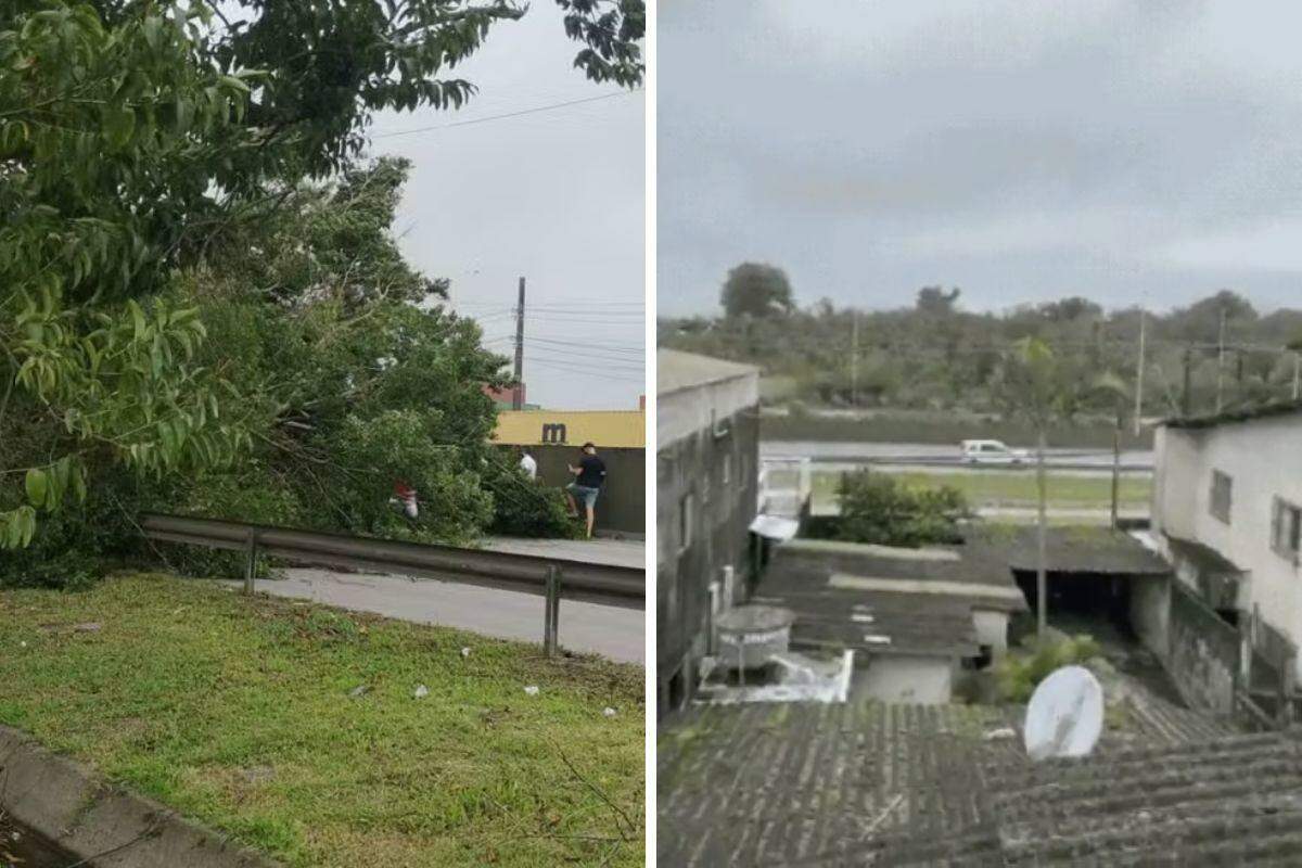 Árvore caiu no km 4 da Rodovia Cônego Domênico Rangoni, durante o temporal que atingiu a região