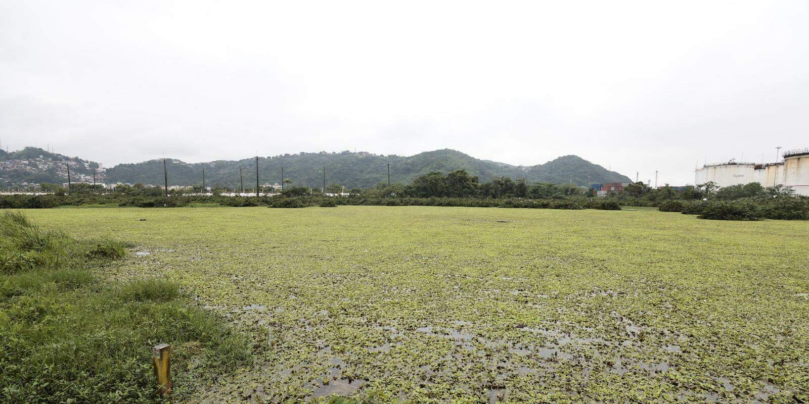 Ninguém sabe dizer o exato tamanho, mas medições extraoficiais dão conta de que as dimensões estão em torno de 57 mil metros quadrados