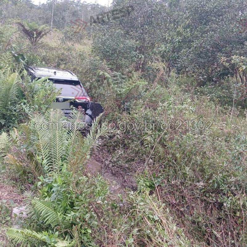 O carro atravessou o canteiro lateral e entrou na área de vegetação às margens da rodovia