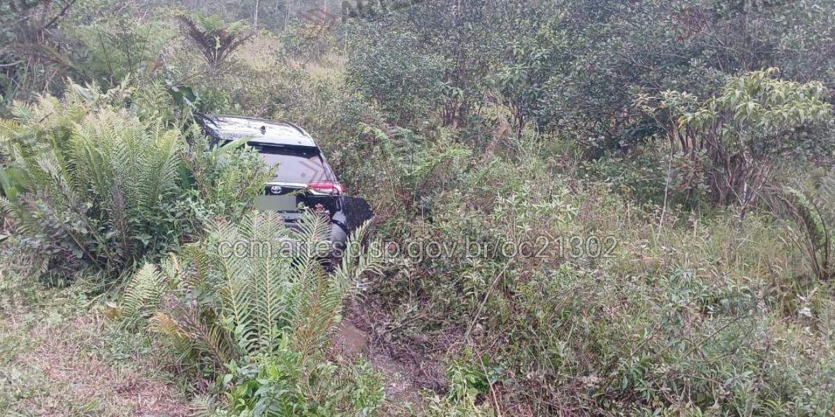 O carro atravessou o canteiro lateral e entrou na área de vegetação às margens da rodovia