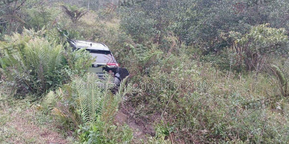 O carro atravessou o canteiro lateral e entrou na área de vegetação às margens da rodovia
