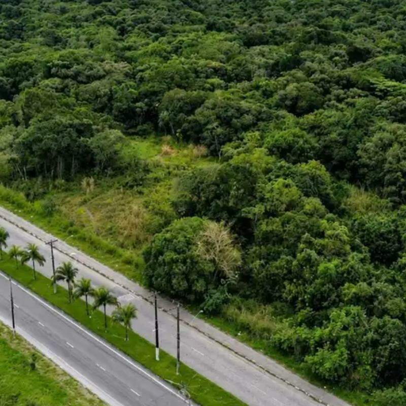 Terreno do novo Centro de Treinamento (CT) do Santos fica às margens da Avenida Vereadora Angelina Pretti da Silva, em São Vicente