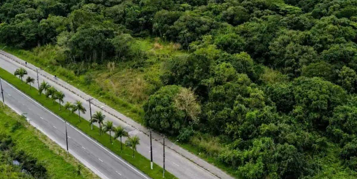 Terreno do novo Centro de Treinamento (CT) do Santos fica às margens da Avenida Vereadora Angelina Pretti da Silva, em São Vicente